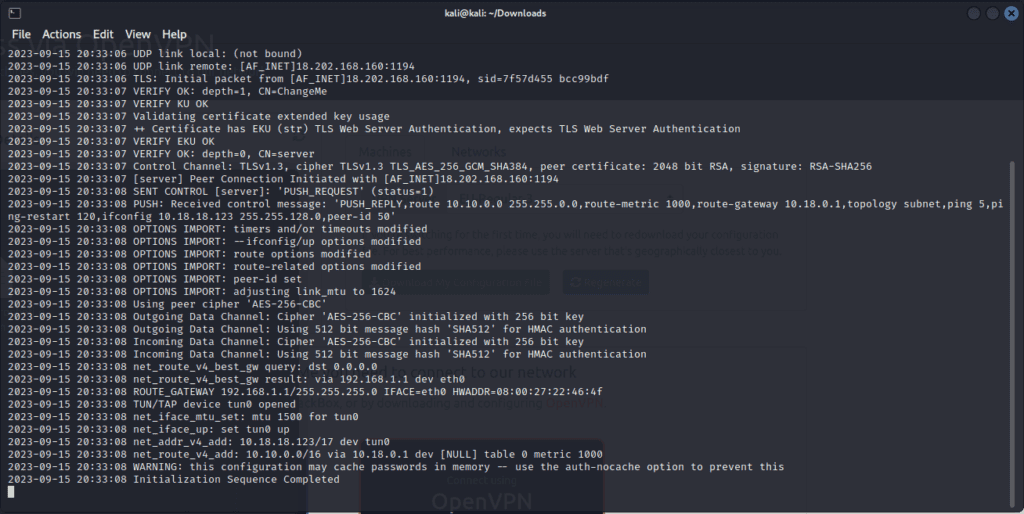Kali linux openvpn