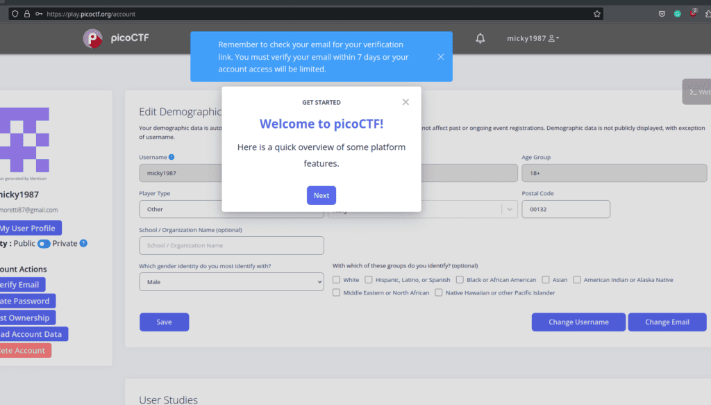 PicoCTF Registration Complete